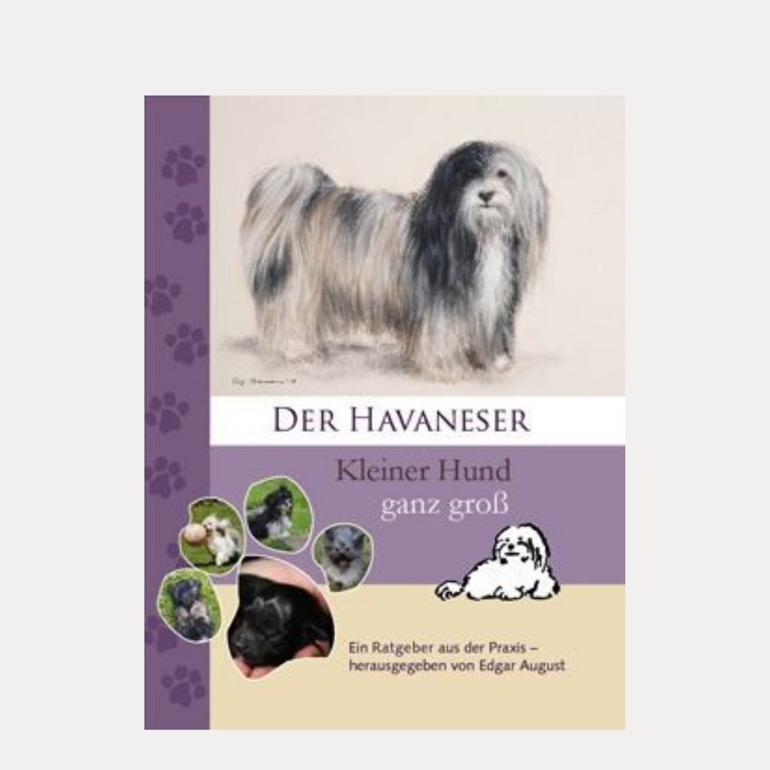 Havaneser - kleiner Hund ganz groß - Lutzis Mondkalender - handgemalt aus dem Allgäu