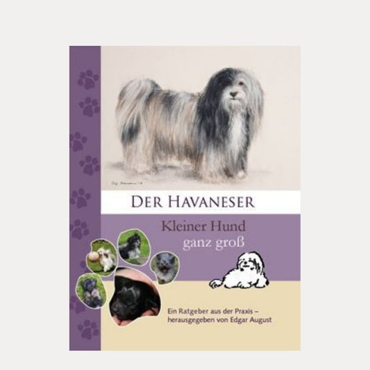 Havaneser - kleiner Hund ganz groß - Lutzis Mondkalender - handgemalt aus dem Allgäu