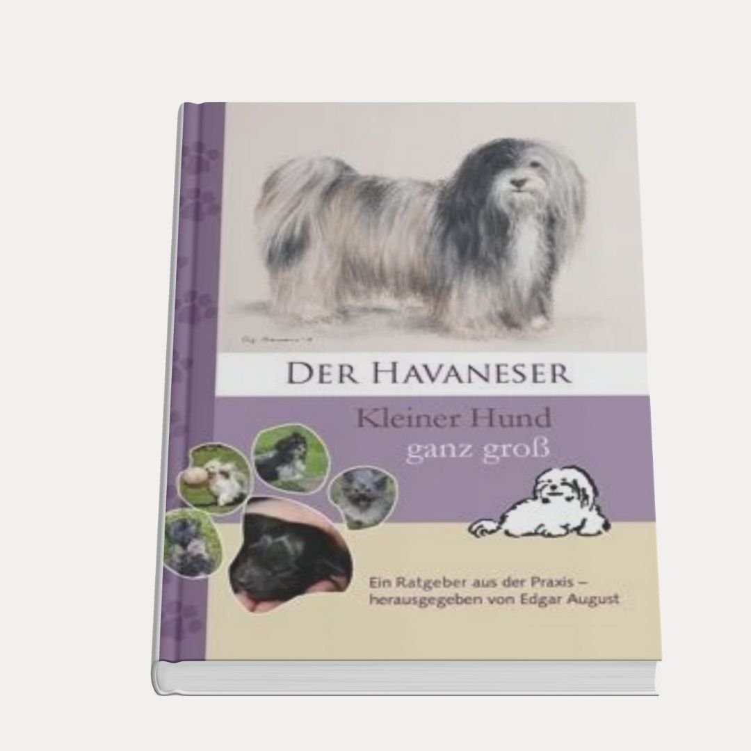 Havaneser - kleiner Hund ganz groß - Lutzis Mondkalender - handgemalt aus dem Allgäu